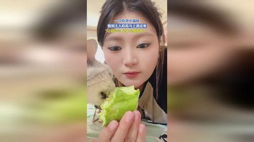 小主儿娱乐吃瓜 第2张 小主儿娱乐吃瓜 第2张