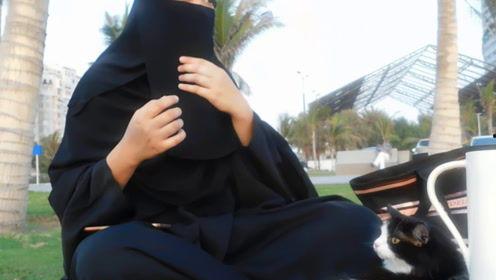 娱乐吃瓜君mv,揭秘娱乐圈背后的秘密与笑料 第2张 娱乐吃瓜君mv,揭秘娱乐圈背后的秘密与笑料 第2张