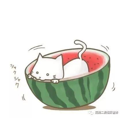 吃瓜群众图片卡通头像,吃瓜群众卡通头像大揭秘 第2张 吃瓜群众图片卡通头像,吃瓜群众卡通头像大揭秘 第2张