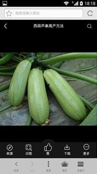 娱乐吃瓜资料来源于什么 第3张 娱乐吃瓜资料来源于什么 第3张