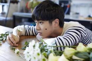 娱乐吃瓜酱龙凤胎,揭秘龙凤胎背后的明星育儿经 第3张 娱乐吃瓜酱龙凤胎,揭秘龙凤胎背后的明星育儿经 第3张