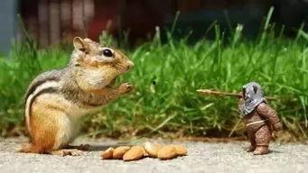 娱乐吃瓜小松鼠小说下载,揭秘小说世界中的趣味下载之旅 第3张 娱乐吃瓜小松鼠小说下载,揭秘小说世界中的趣味下载之旅 第3张