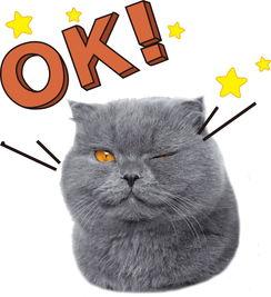 娱乐吃瓜酱猫尾巴,揭秘娱乐圈那些不为人知的幕后故事 第3张 娱乐吃瓜酱猫尾巴,揭秘娱乐圈那些不为人知的幕后故事 第3张