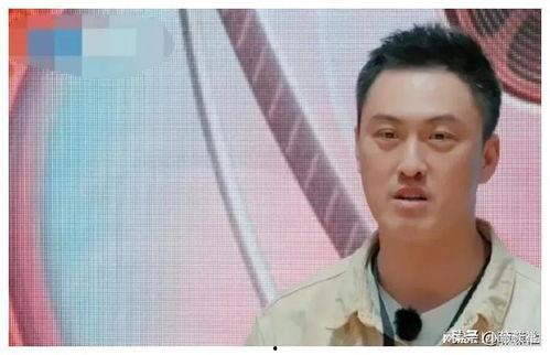 娱乐圈吃瓜爆料书,揭秘明星幕后真相与幕后黑手 第3张 娱乐圈吃瓜爆料书,揭秘明星幕后真相与幕后黑手 第3张