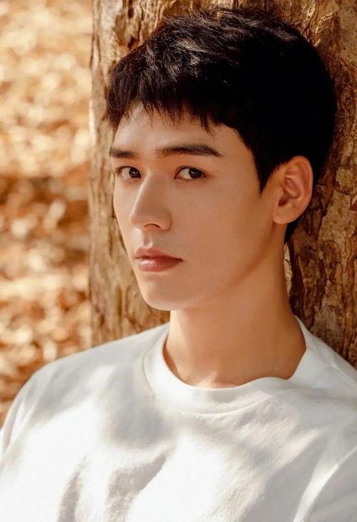 娱乐圈吃瓜龚俊是谁啊百度云,揭秘龚俊的百度云之谜  第1张